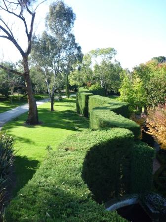 HEDGES2