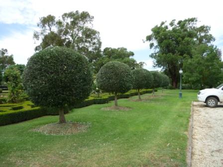 HEDGES5