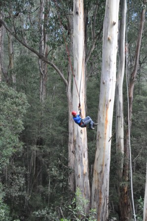 bigswing13