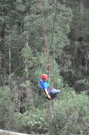 bigswing14
