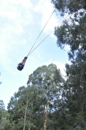 bigswing2c