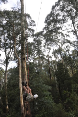 bigswing3c