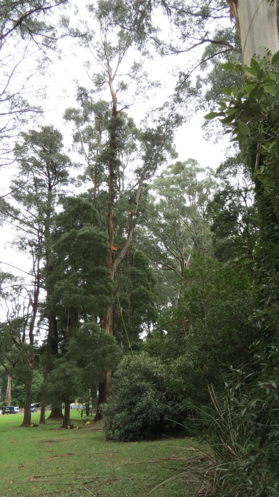 climber2