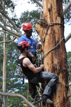 climber3