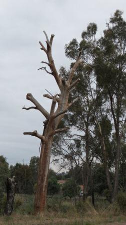 habitat1