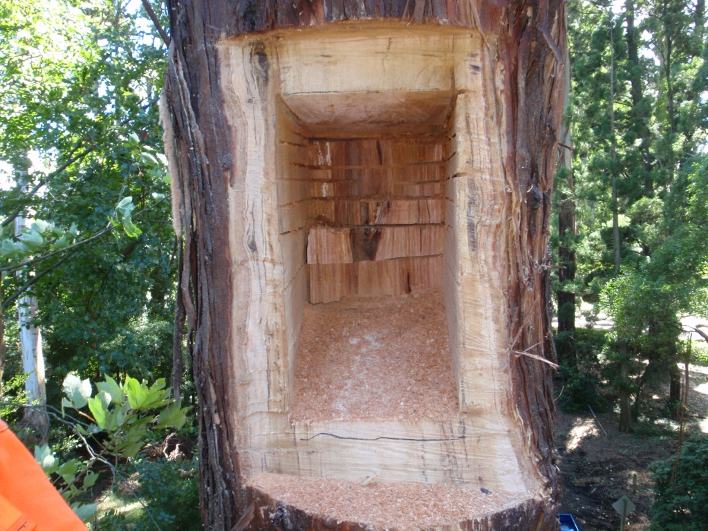 habitat4s